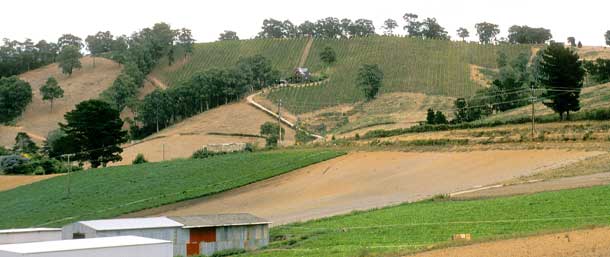 Adelaide Hills